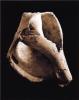 Sondra Wampler art print