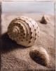 Sondra Wampler art print