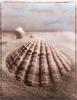 Sondra Wampler art print