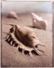 Sondra Wampler art print
