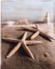 Sondra Wampler art print