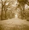 Sondra Wampler art print