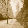 Sondra Wampler art print