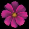 Harold Feinstein art print