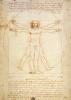 Leonardo da Vinci art print