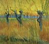Vincent Van Gogh art print