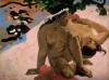 Paul Gauguin art print