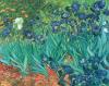 Vincent Van Gogh art print