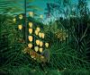 Henri Rousseau art print