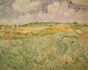Vincent Van Gogh art print