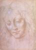 Leonardo da Vinci art print