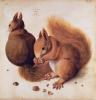 Albrecht Durer art print