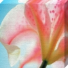 Erin Rafferty art print
