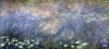 Claude Monet art print
