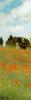 Claude Monet art print
