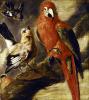 Flemish School art print
