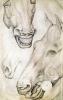 Antonio Pisanello art print
