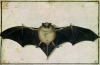 Albrecht Durer art print