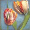 Sally Wetherby art print