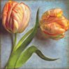 Sally Wetherby art print