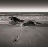 David Fokos art print