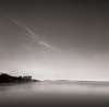 David Fokos art print