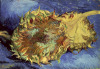 Vincent Van Gogh art print