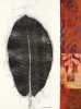 Van Der Meer art print