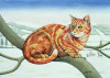 Ditz art print