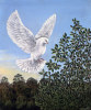 Liz Wright art print