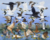 Pat Scott art print