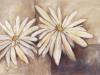 Dagmar Zupan art print