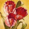 Paula Reed art print