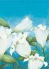Alicia Sloan art print