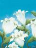 Alicia Sloan art print