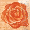 Anna Flores art print