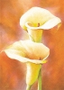 Alicia Sloan art print