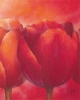 Alicia Sloan art print