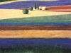 Franz Heigl art print