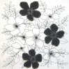 Design Show art print