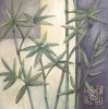Dagmar Zupan art print