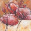 Dagmar Zupan art print