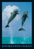 Maxi Posters art print