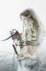 Luis Royo art print