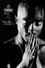 Maxi Posters art print