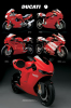 Maxi Posters art print