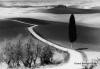 Berengo Gardin art print