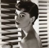 Celebrity Image art print