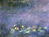 Claude Monet art print