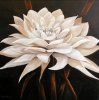 Rian Withaar art print